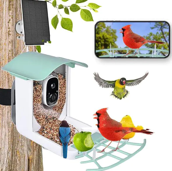 BirdCam Feeder EcoSmart