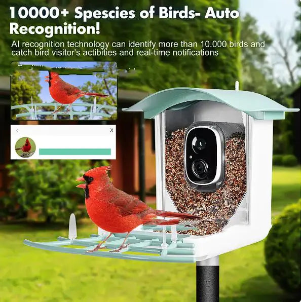 BirdCam Feeder EcoSmart